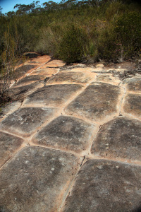 Unusual rock formations on the plateaus are part of a unique geology to support the region's vast biodiversity. Photo Credit: www.SydneyOutBack.com.au