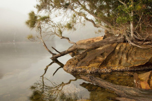 Under mist, the pristine waterways of Ku-ring-gai Chase National Park take on a primitive air. Photo Credit: C.Munro for SydneyOutBack.com.au